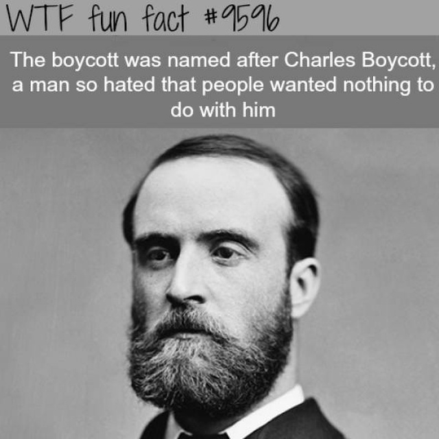 Another Selection Of Interesting Facts (30 pics)