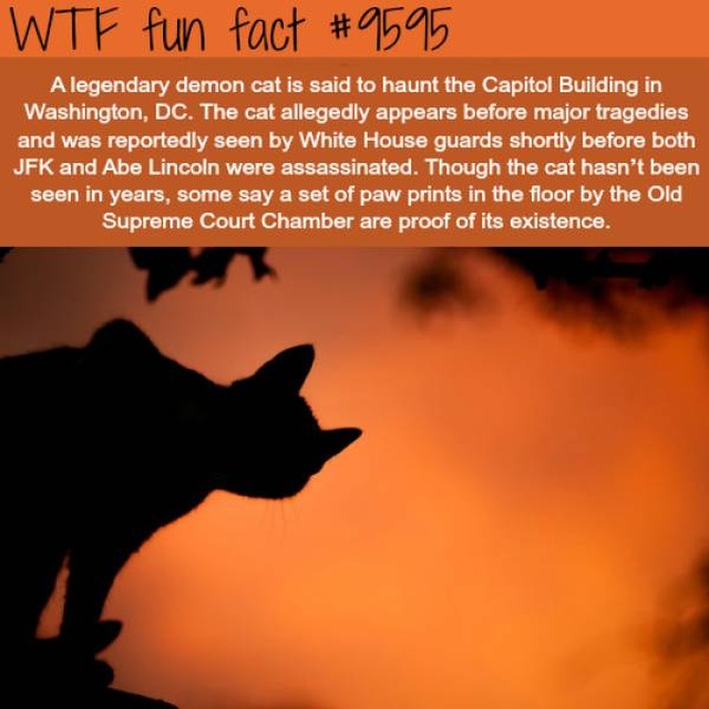 Another Selection Of Interesting Facts (30 pics)