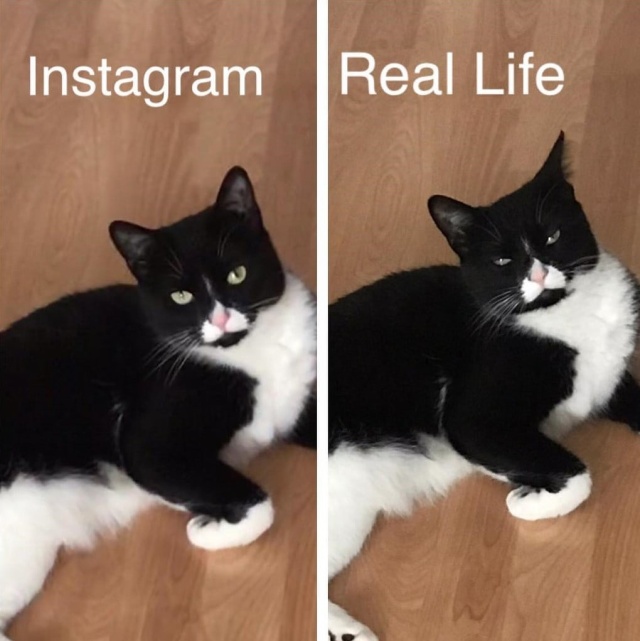Instagram Vs Reality (19 pics)