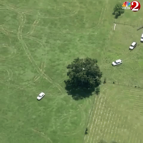 Police Pursuit (3 gifs)