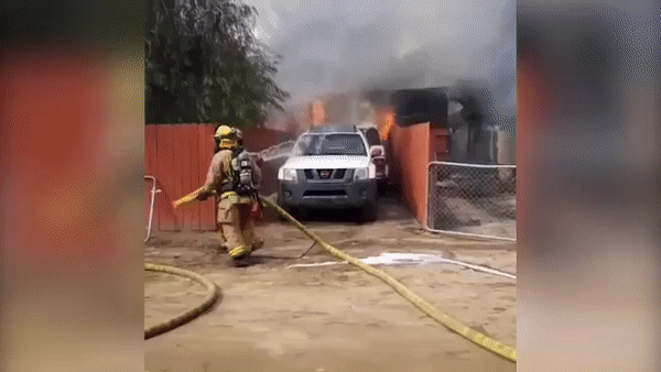 Father-of-three Runs Past Firefighters To Save His Dog Gabbana As His Home Is In Flames (6 pics)
