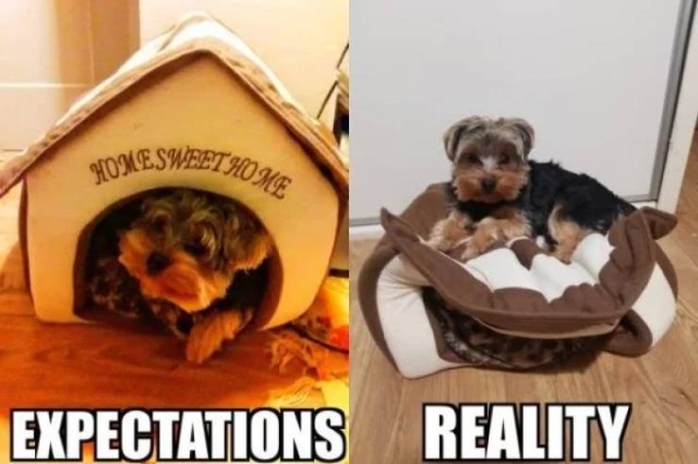 Expectations vs Reality (28 pics)