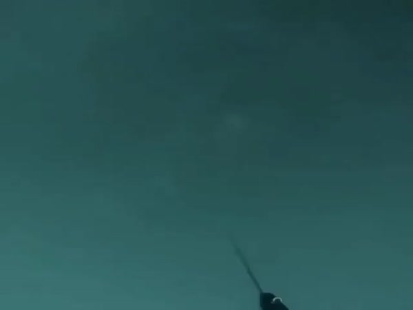 Not What You Want To See Under The Water