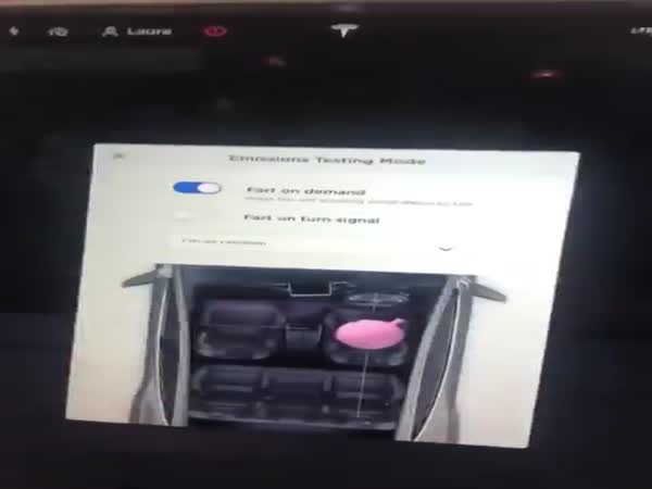 Tesla Has All The Necessary Functions Inbuilt