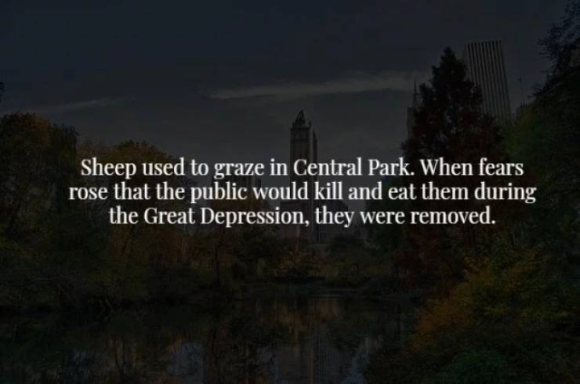 These Facts Are Creepy (34 pics)