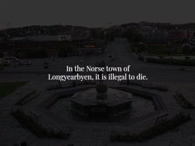 These Facts Are Creepy (34 pics)