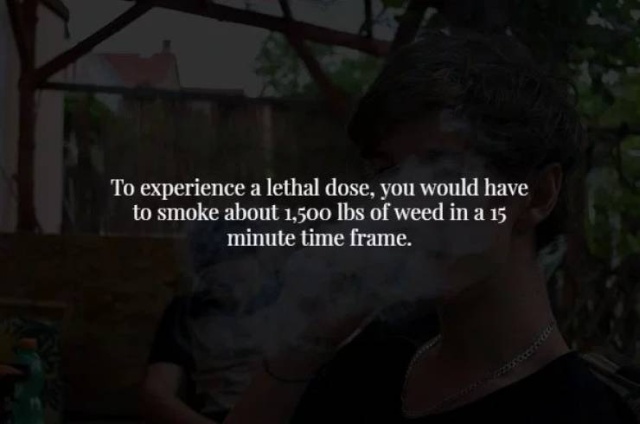 These Facts Are Creepy (34 pics)
