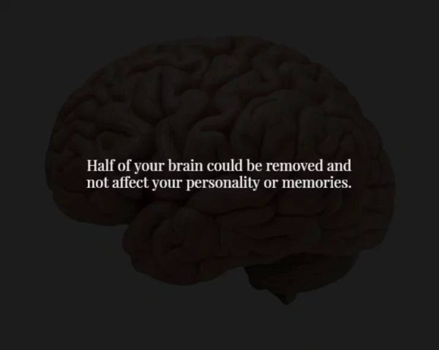 These Facts Are Creepy (34 pics)