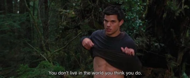 Twilight Saga Out Of Context (26 pics)