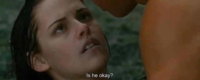 Twilight Saga Out Of Context (26 pics)