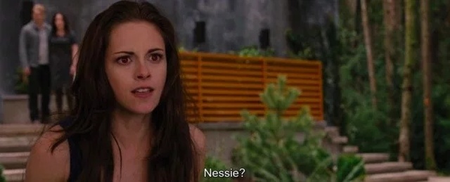 Twilight Saga Out Of Context (26 pics)