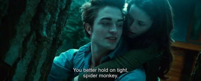 Twilight Saga Out Of Context (26 pics)