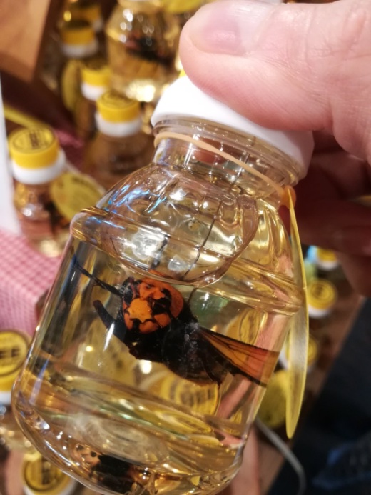 Honey With Hornets From Japan (4 pics)