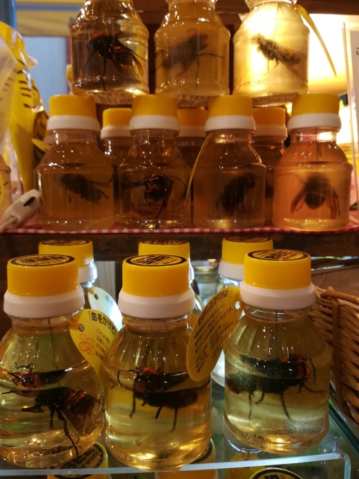 Honey With Hornets From Japan (4 pics)