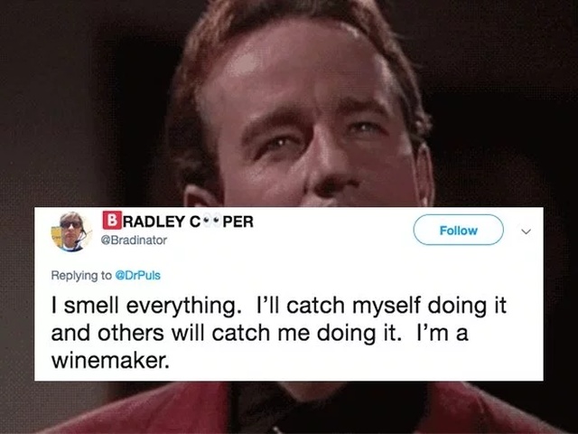 What Part Of Your Profession Can You Not Turn Off Out In Public (20 pics)