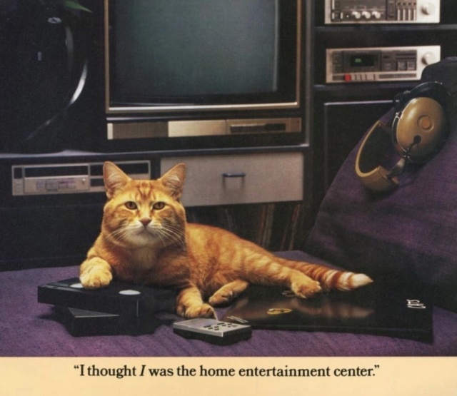 Vintage Calendar For 1986 With The Cat Morris (10 pics)