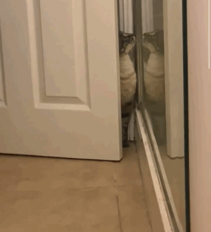 Acid Gifdump, March 21 (25 gifs)
