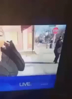 Acid Gifdump, March 21 (25 gifs)