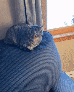 Acid Gifdump, March 21 (25 gifs)