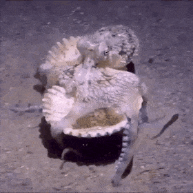 Acid Gifdump, March 21 (25 gifs)