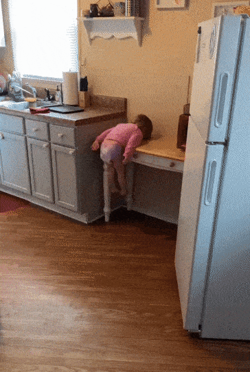Acid Gifdump, March 21 (25 gifs)