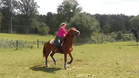Acid Gifdump, March 21 (25 gifs)