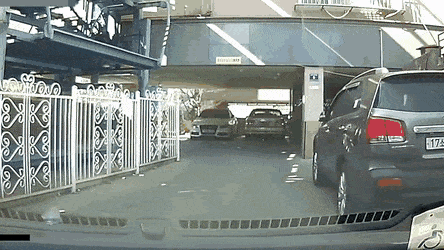 Acid Gifdump, March 21 (25 gifs)