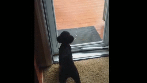 Acid Gifdump, March 21 (25 gifs)