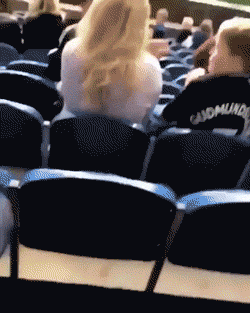 Looped GIFs (17 gifs)