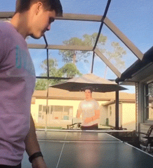 Looped GIFs (17 gifs)