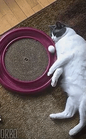 Looped GIFs (17 gifs)