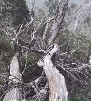 Looped GIFs (17 gifs)