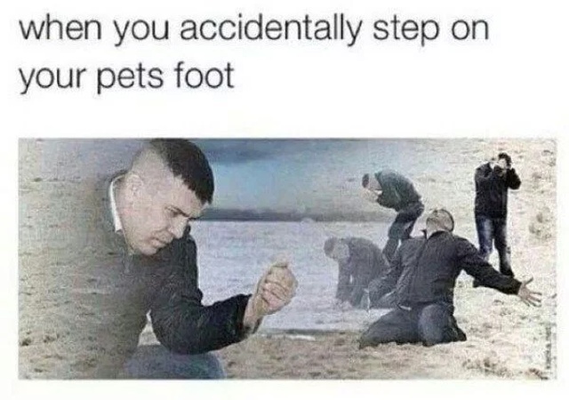 So True (25 pics)