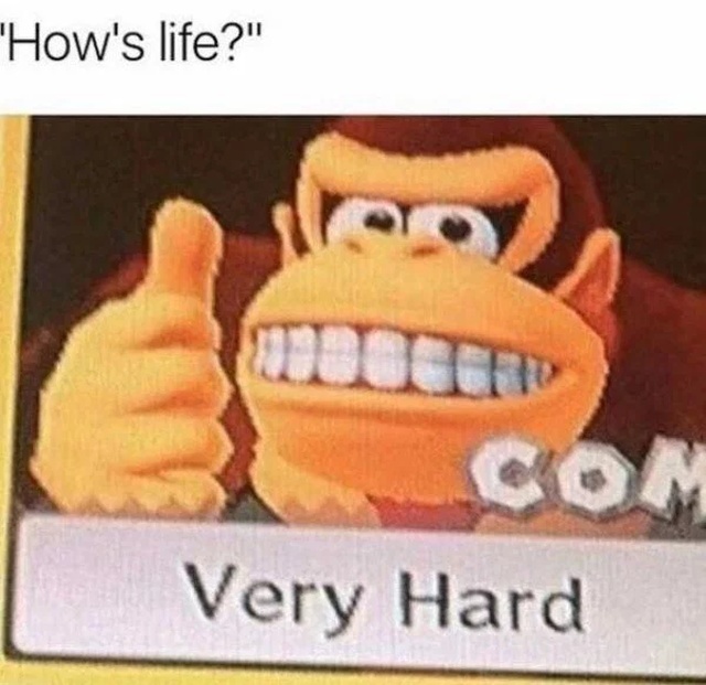 So True (25 pics)