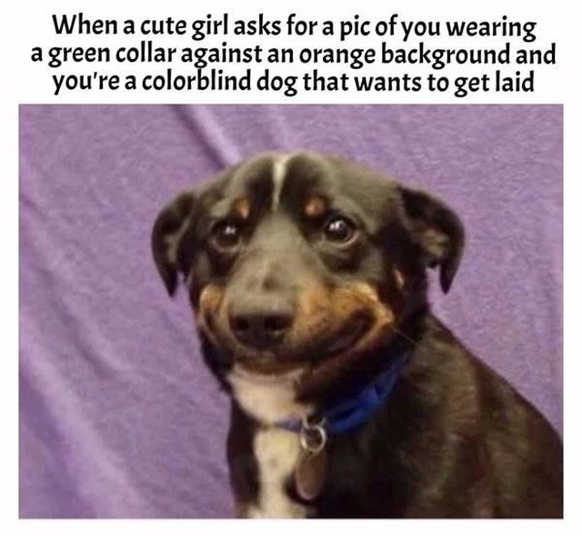 So True (25 pics)