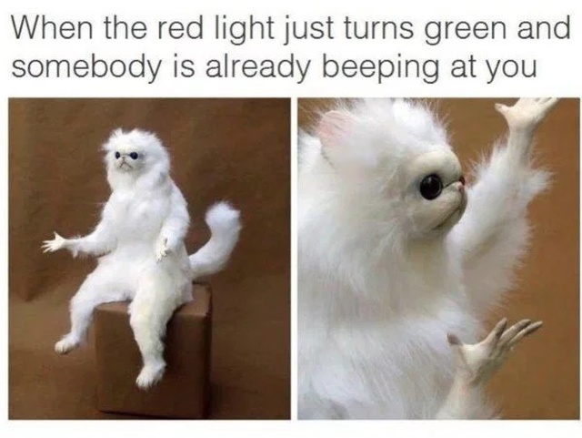 So True (25 pics)