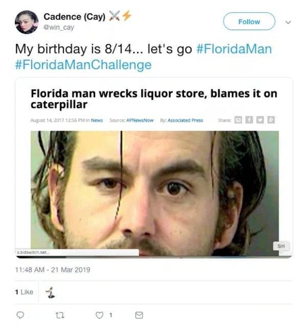 And Which Florida Man Is Your Spirit Animal? (25 pics)