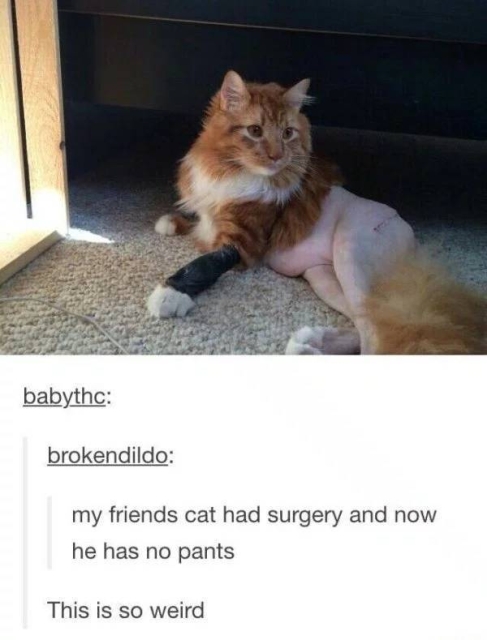 This Is So Strange (27 pics)