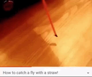 This Is So Strange (27 pics)