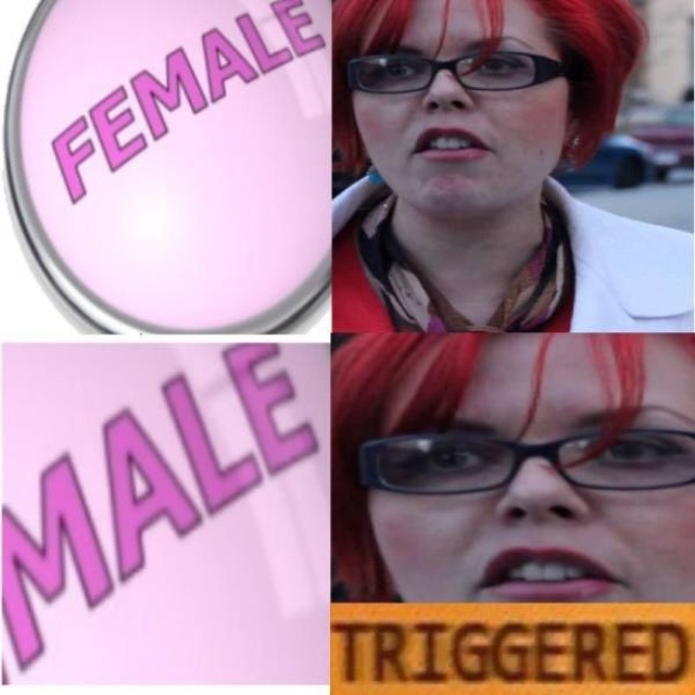 Triggered (22 pics)