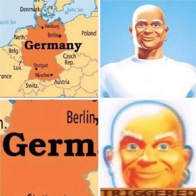 Triggered (22 pics)