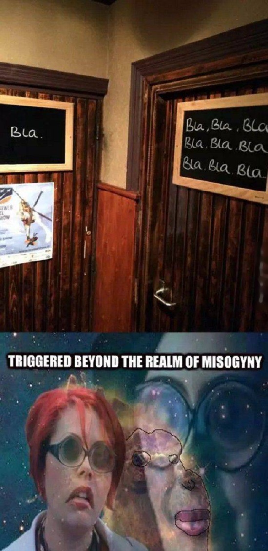 Triggered (22 pics)