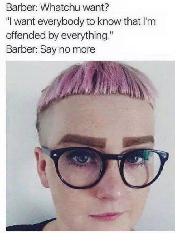 Triggered (22 pics)