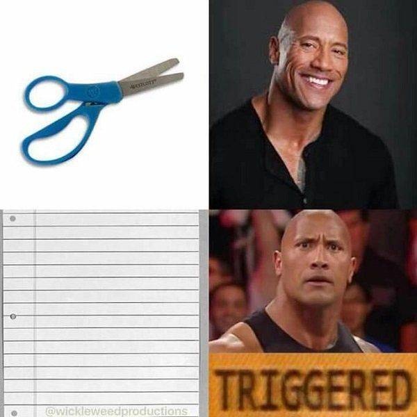 Triggered (22 pics)
