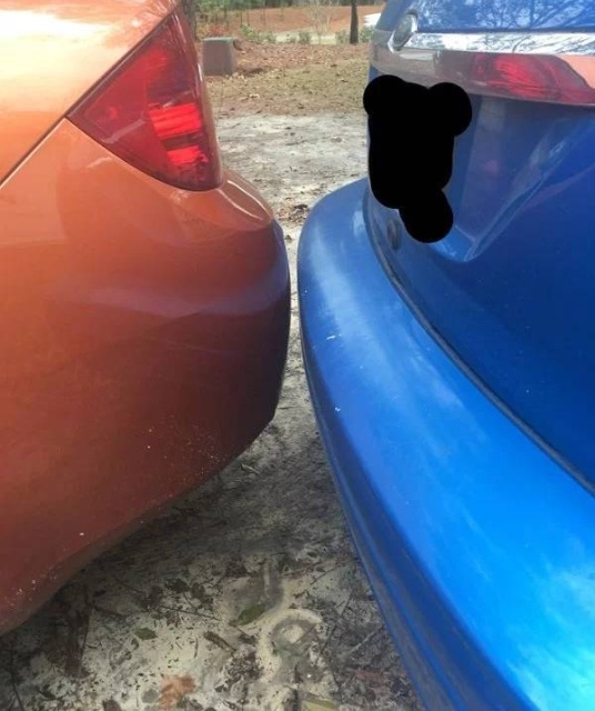 Why Did It Have To Be That Close? (18 pics)