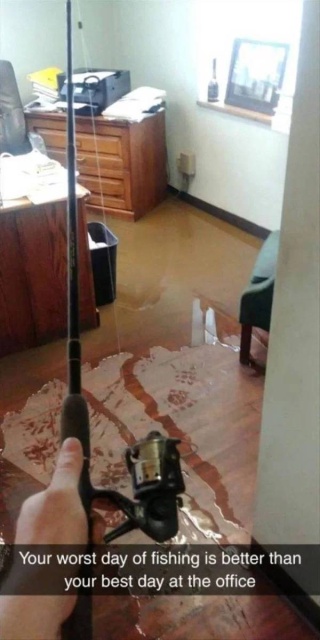 It's Just Pathetic (37 pics)