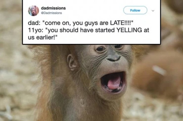 Kids Are The Real Masters Of Roasting (28 pics)