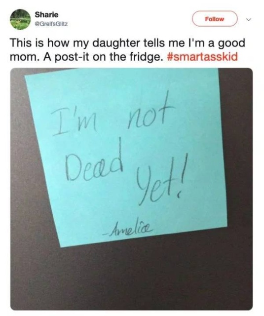 Kids Are The Real Masters Of Roasting (28 pics)