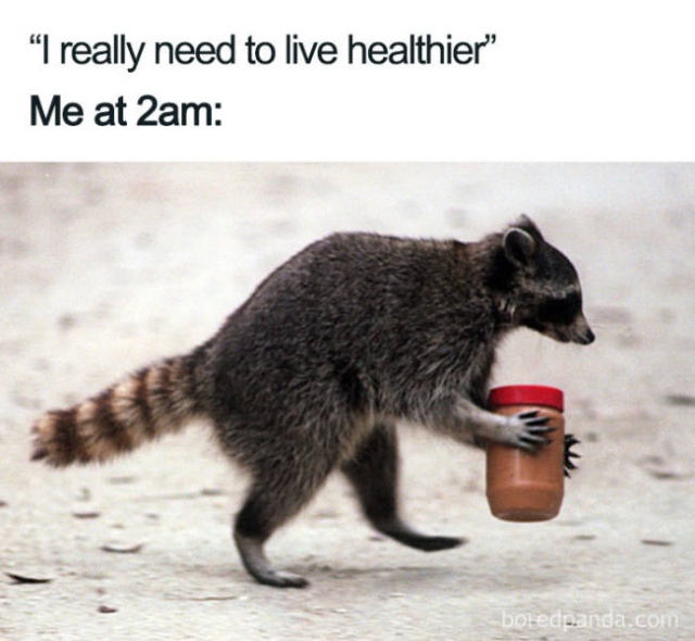 Weight Loss Memes (45 pics)