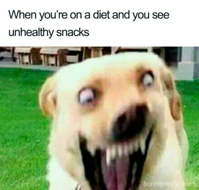 Weight Loss Memes (45 pics)